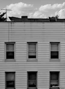 DSC_5388 - Version 2 (2)