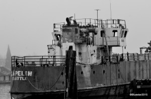 DSC_5965 - Version 2-001