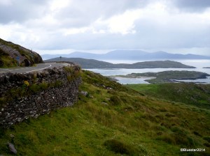 SAMSUNG CAMERA PICTURES