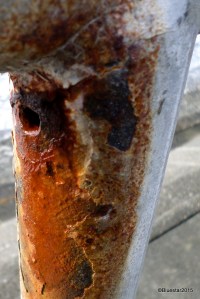 SAMSUNG CAMERA PICTURES