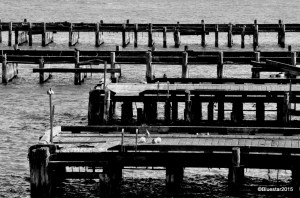 DSC_6019 - Version 2-001