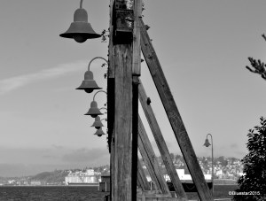 DSC_6044 - Version 2-001