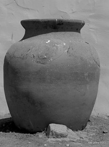 DSC_0491 - Version 2-001