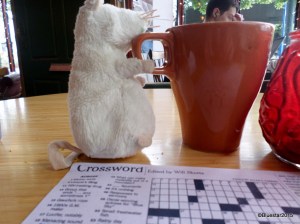 SAMSUNG CAMERA PICTURES