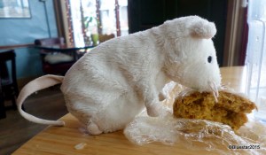 SAMSUNG CAMERA PICTURES