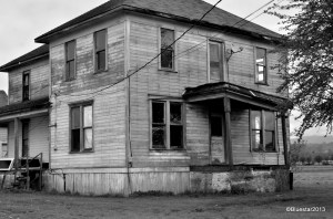 DSC_4042 - Version 2-001