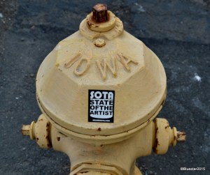 DSC_6785-001