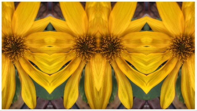 1F7AEF62-21E5-4103-BAC4-A90B04258F90