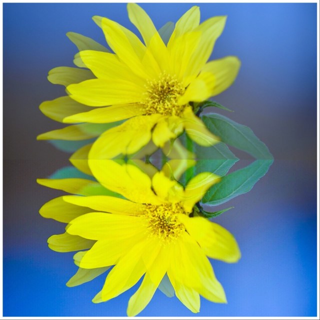 2C3900D3-FB5F-4274-8965-191B2C512A27