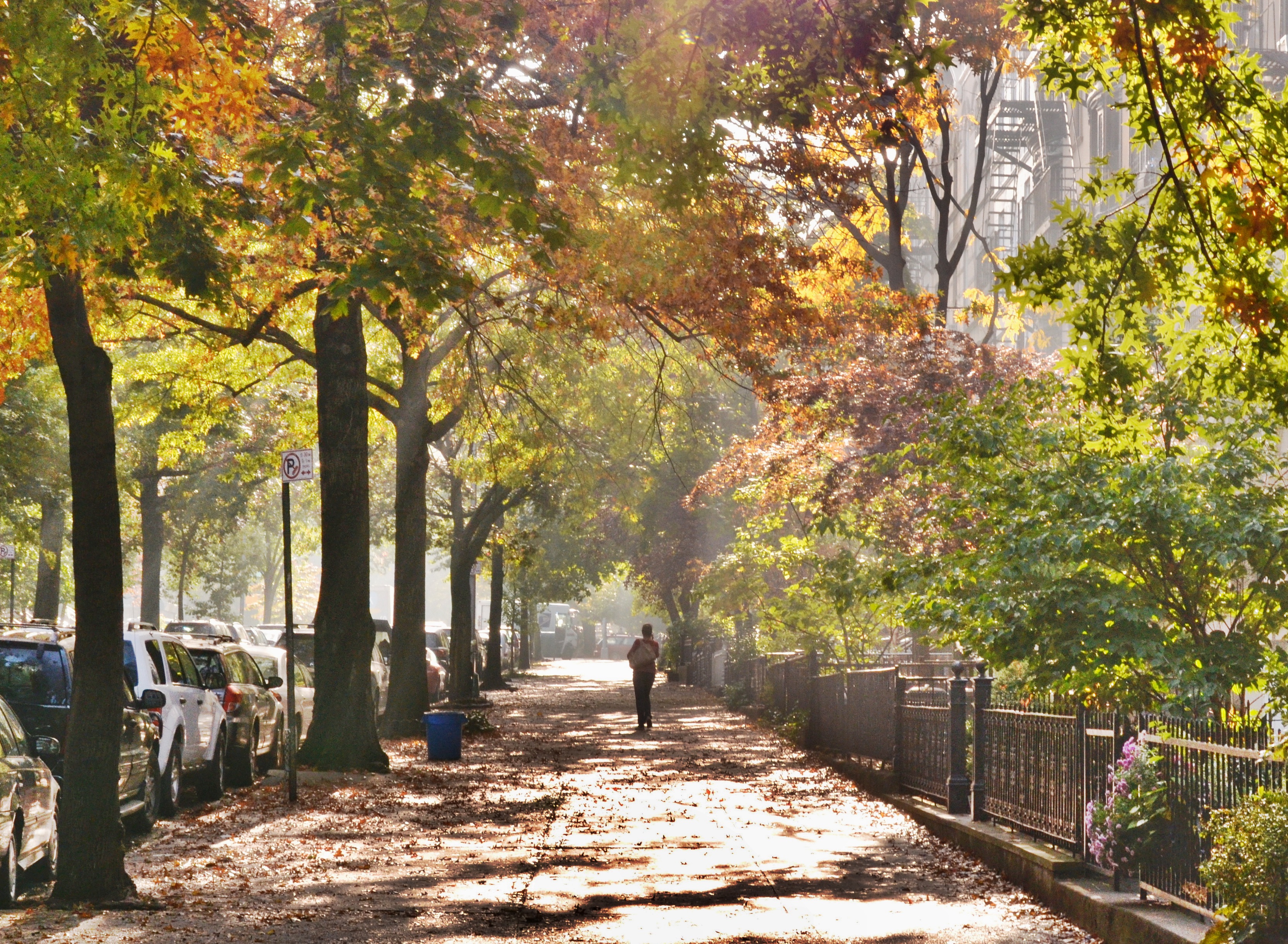 HDRtist HDR - http://www.ohanaware.com/hdrtist/