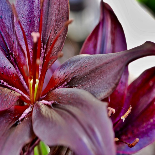 HDRtist HDR - http://www.ohanaware.com/hdrtist/