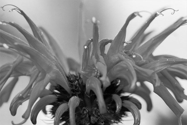 97ADB7D6-E720-49B0-AAC4-E70F40C22C43_1_201_a